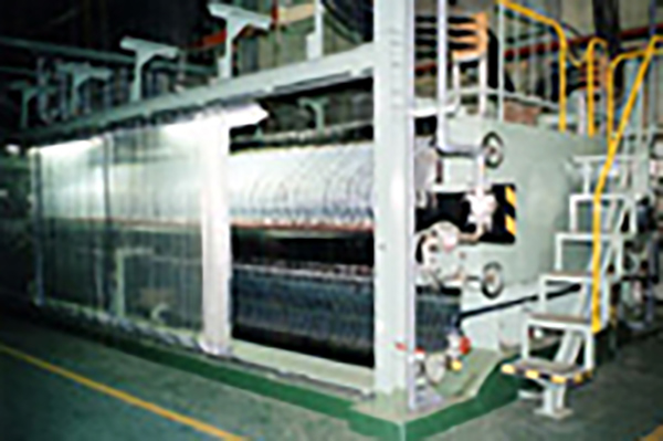 A Caustic Soda Production Facility
